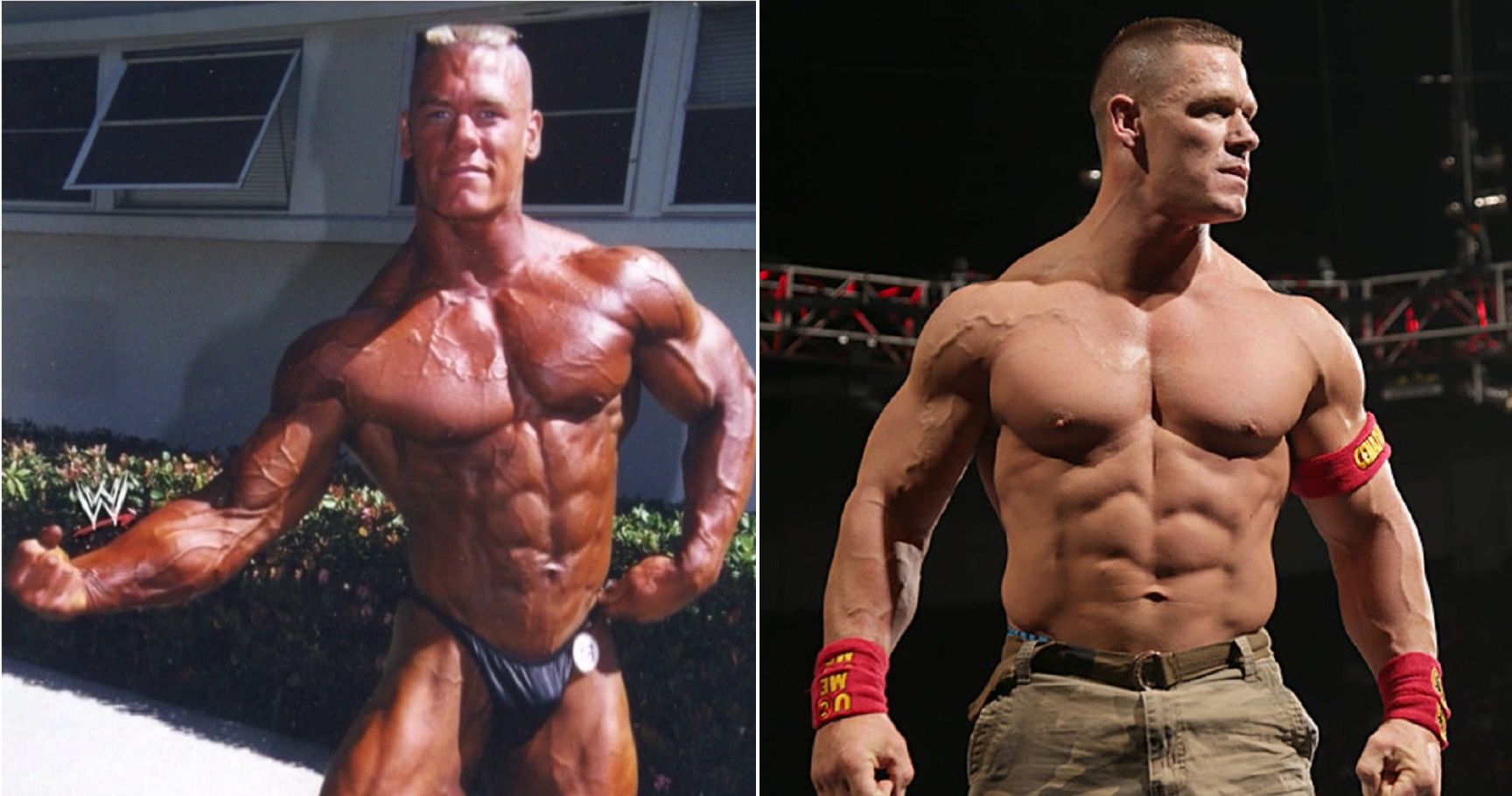Top 15 Wrestlers Who Started Out As Bodybuilders TheSportster