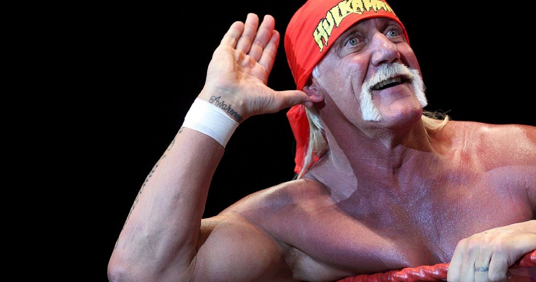 When Does Hulk Hogan Expect to be Back in WWE? | TheSportster