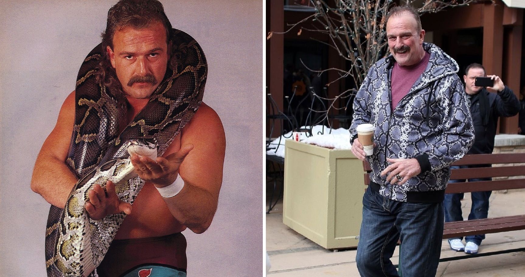 WWE Golden Age Wrestlers Where Are They Now? TheSportster