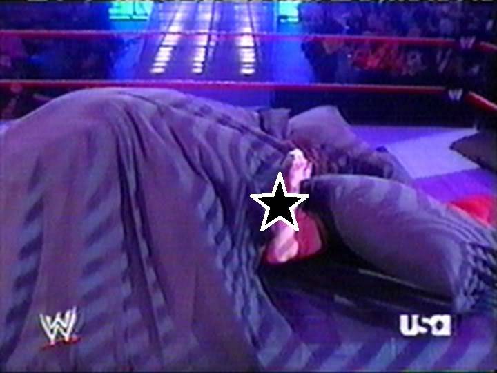 Hard Nopples Wwe Lita Porn - Too Hot For Censors: 15 WWE Moments That Were Cut From The Broadcast