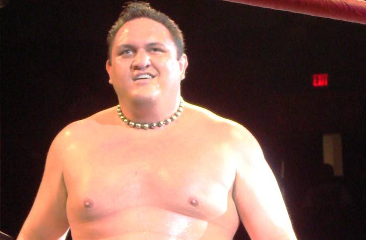 The Best Wrestler Of Every Year Since 2000 Thesportster