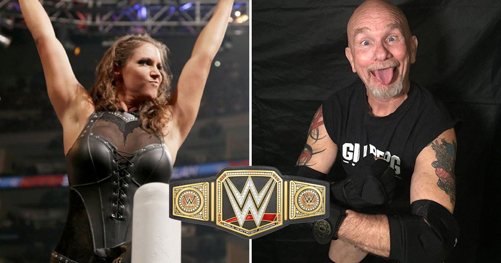 15 Wrestlers You Forgot Challenged For The WWE Championship Without ...