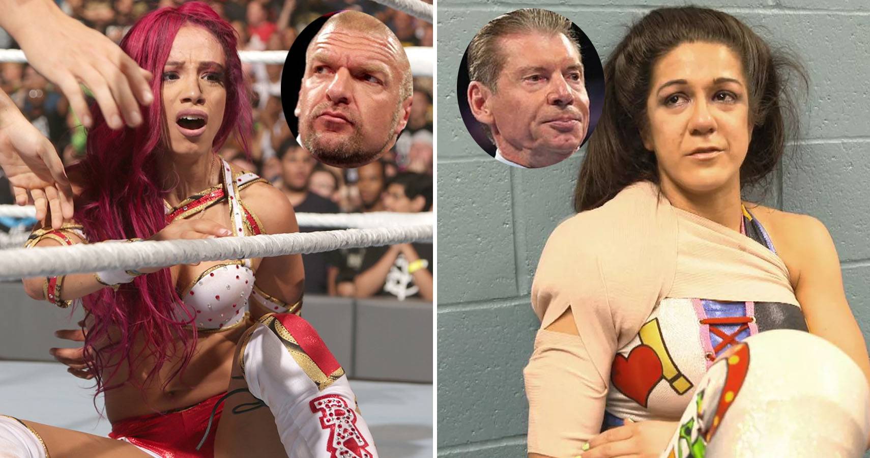 Triple h breasts