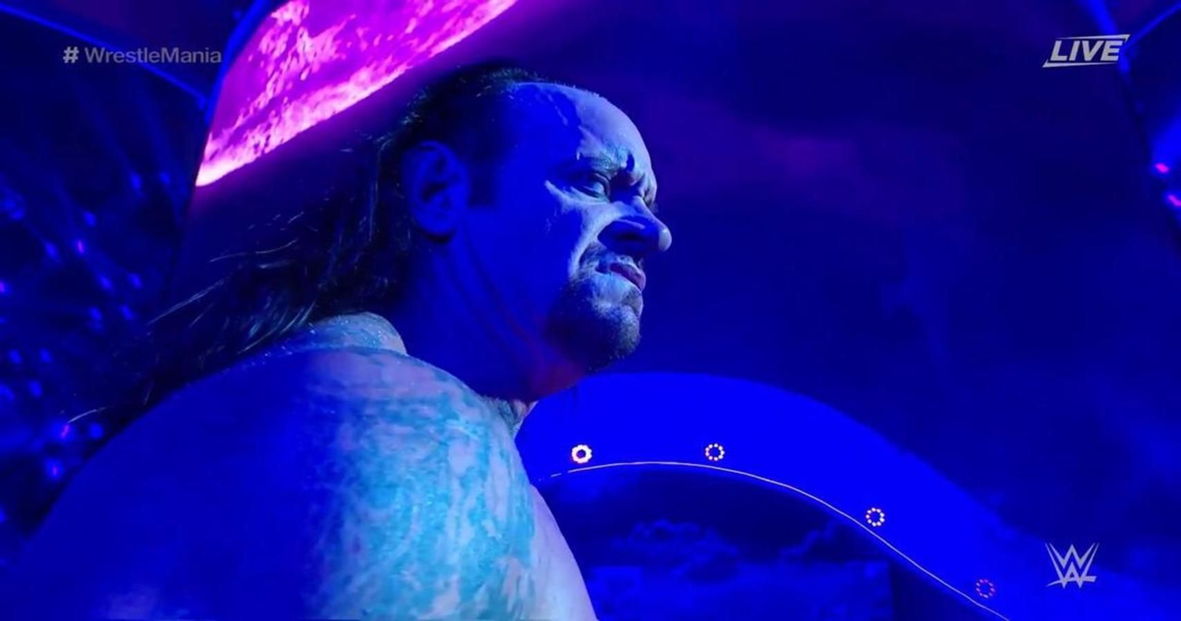 The Undertaker Reveals Long List Of Serious Injuries He's Endured In WWE