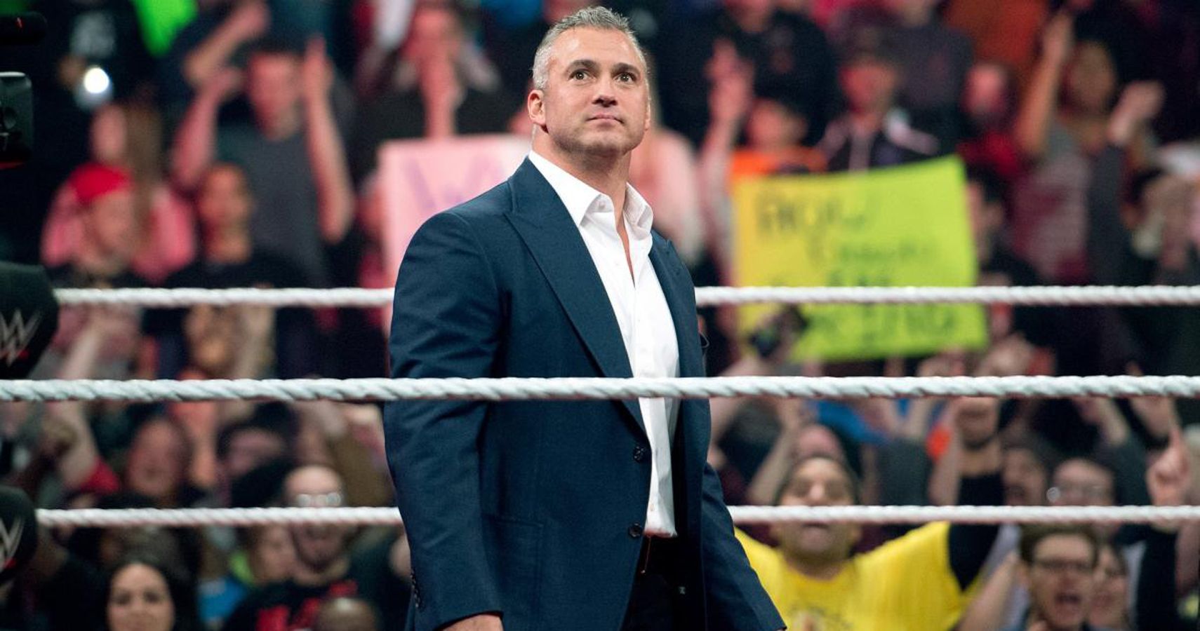 shane mcmahon buys aew