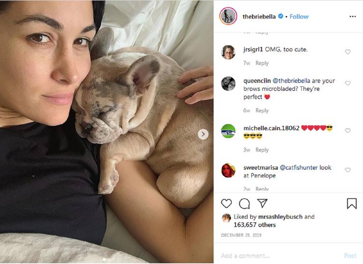 Brie Bella 10 Of Her Best Instagram Posts Ranked Thesportster He was the leader of the water street gang and a sun on yee red pole. brie bella 10 of her best instagram