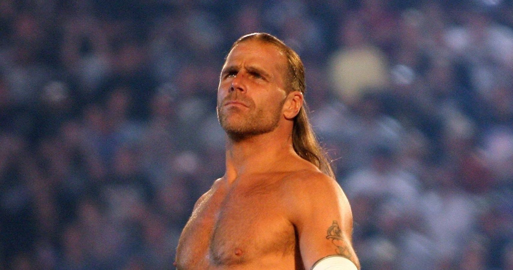 Shawn Michaels - wide 9