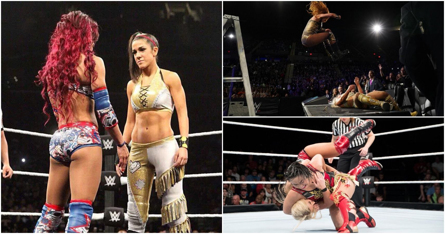 wwe-11-highest-rated-women-s-matches-ever-according-to-dave-meltzer