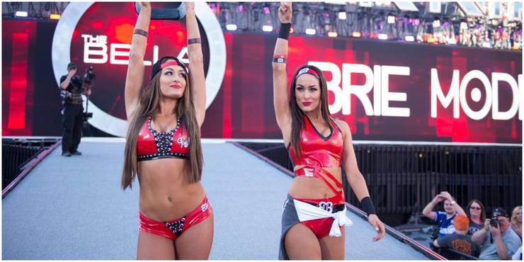Bella twins memoir Bella twins memoir