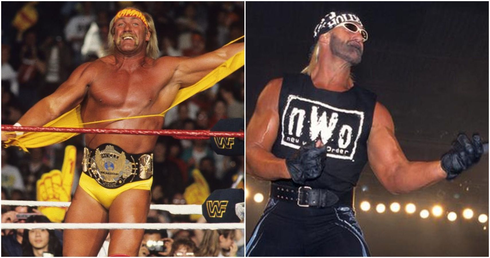 hollywood hogan ultimate