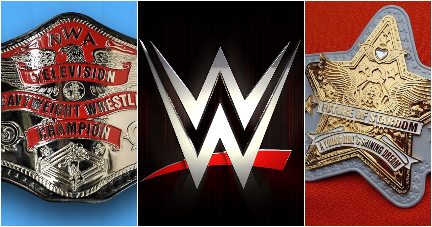 10 Championships From Other Companies WWE Should've Adopted