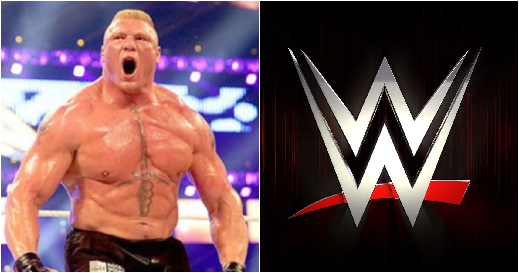 Brock Lesnar Not Returning To WWE Anytime Soon TheSportster