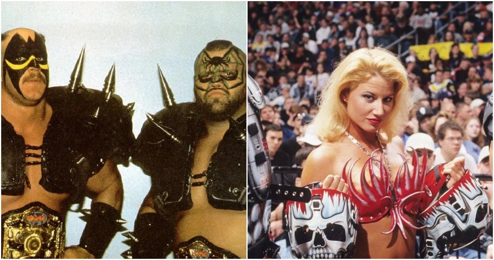 10 Backstage Stories About The Road Warriors Fans Should Know
